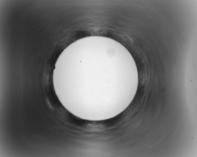 X0000088050515200706081632
