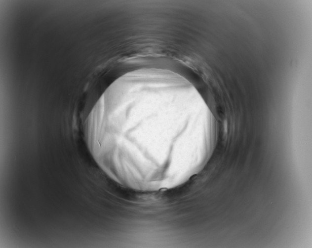 X0000088050516200706081632