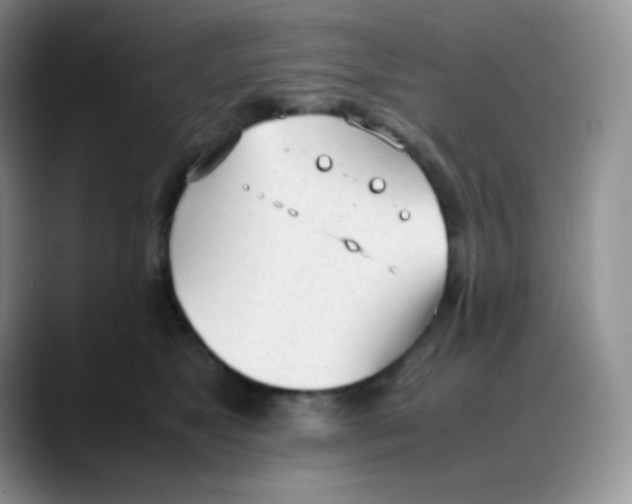 X0000088050517200706081632