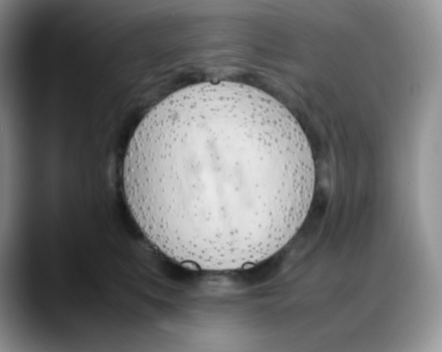 X0000088050519200706081632
