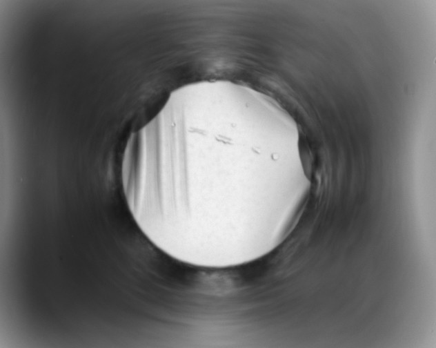 X0000088050520200706081632