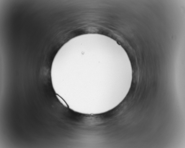 X0000088050521200706081632