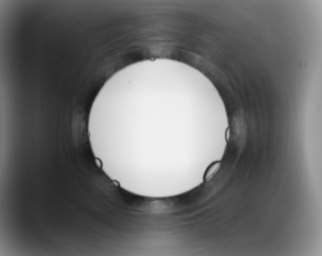 X0000088050522200706081632