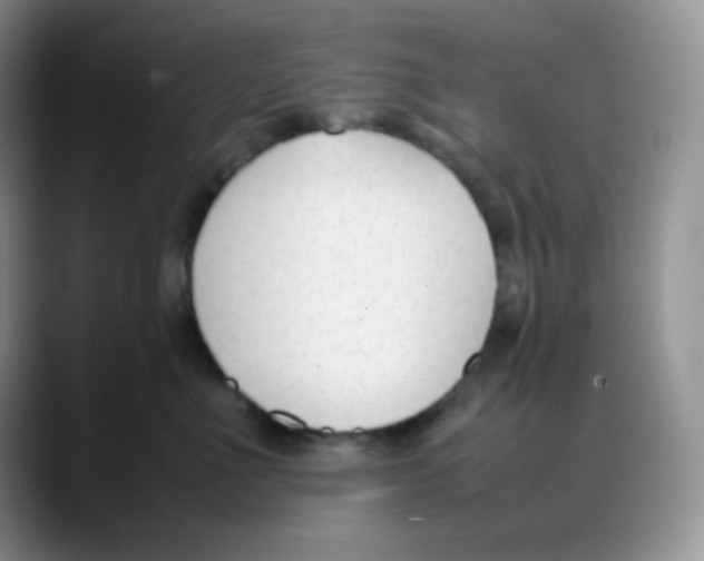 X0000088050523200706081632
