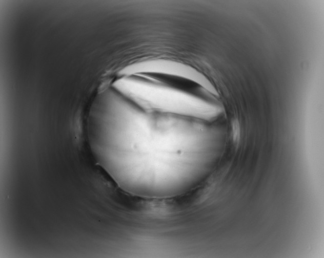 X0000088050524200706081632