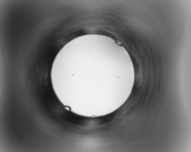 X0000088050525200706081632
