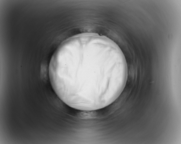 X0000088050526200706081632