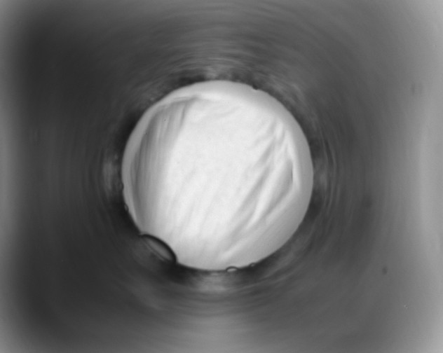 X0000088050527200706081632