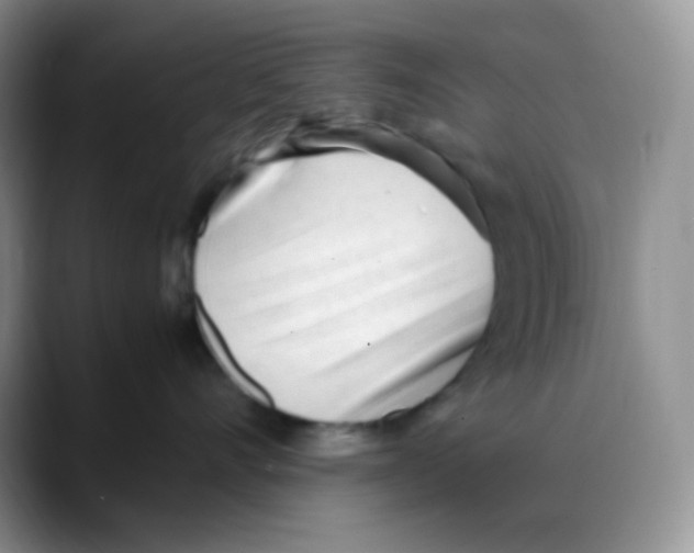 X0000088050528200706081632