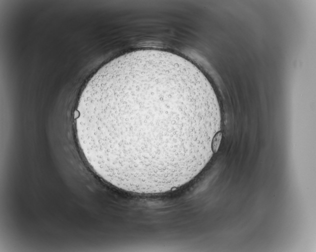 X0000088050529200706081631