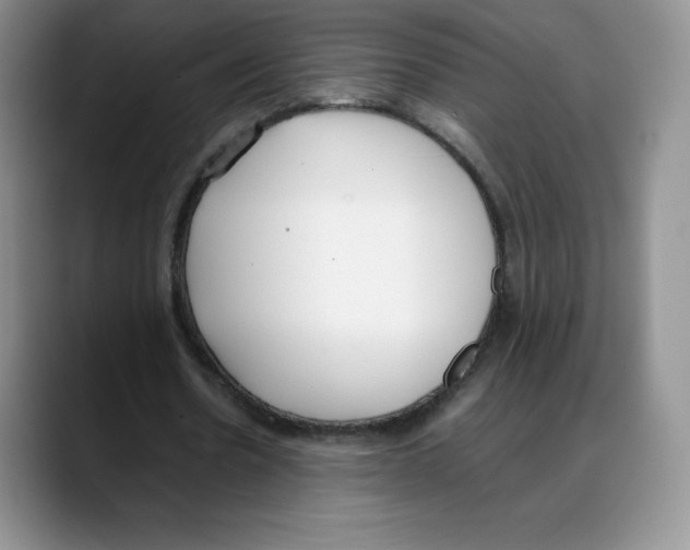 X0000088050530200706081631