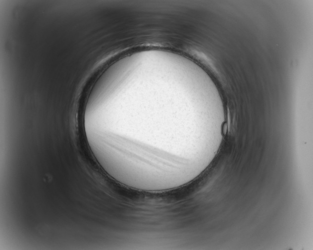 X0000088050531200706081631