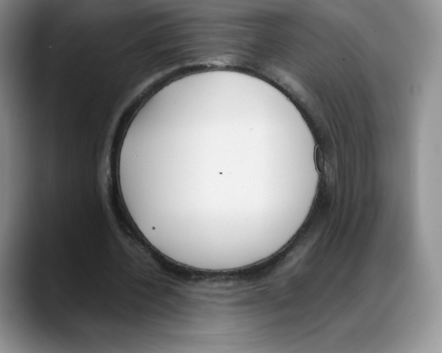 X0000088050532200706081631