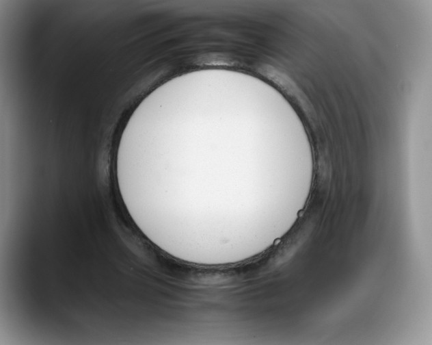 X0000088050533200706081631