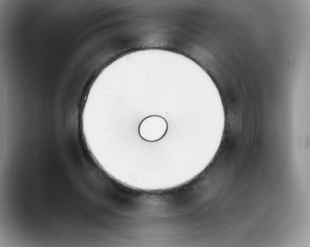 X0000088050534200706081631