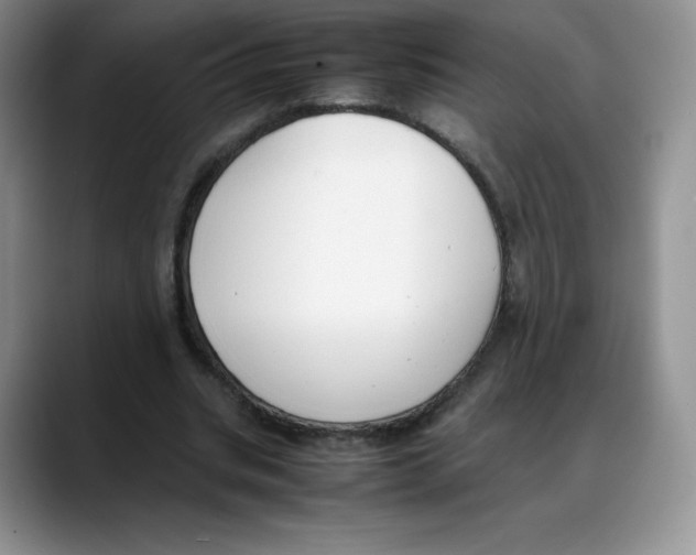 X0000088050535200706081631