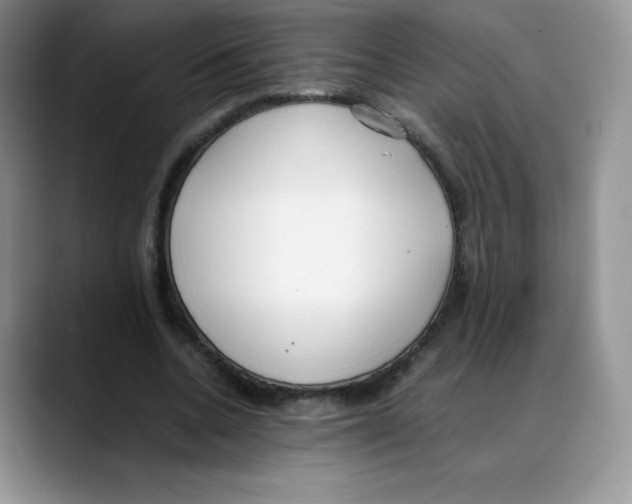 X0000088050536200706081631