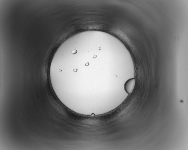 X0000088050537200706081631