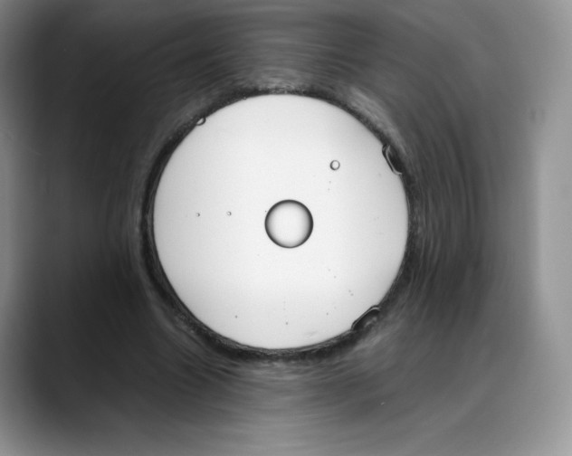 X0000088050538200706081631
