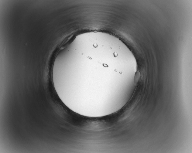 X0000088050540200706081631