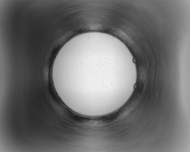 X0000088050542200706081631