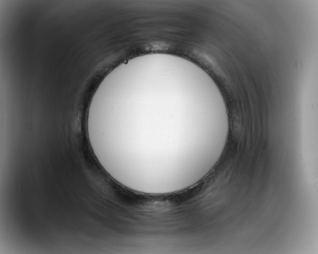 X0000088050543200706081631
