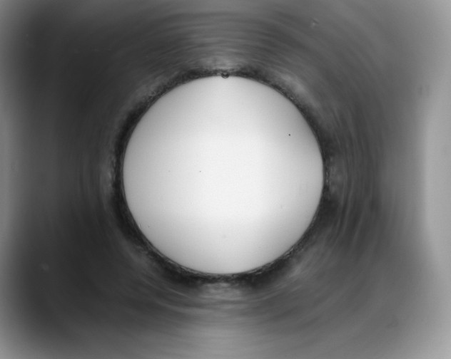 X0000088050544200706081631