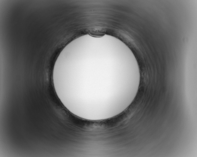 X0000088050546200706081631
