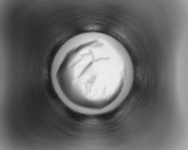 X0000088050547200706081631