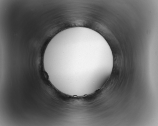 X0000088050548200706081631