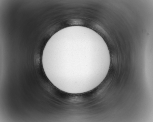 X0000088050549200706081631
