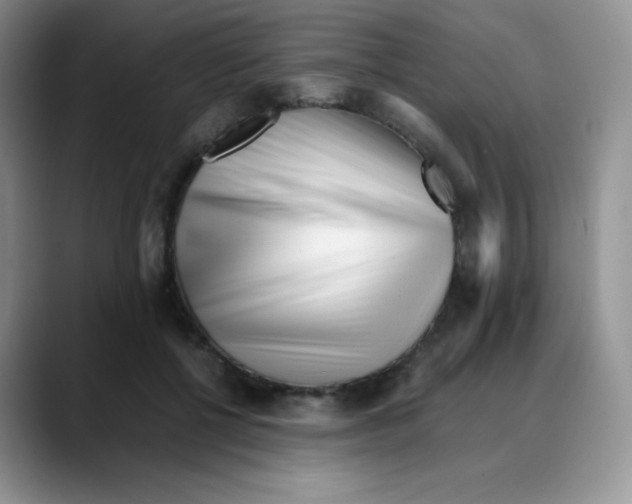 X0000088050552200706081631