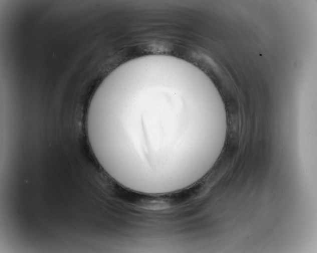 X0000088050553200706081631