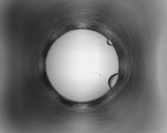 X0000088050554200706081631
