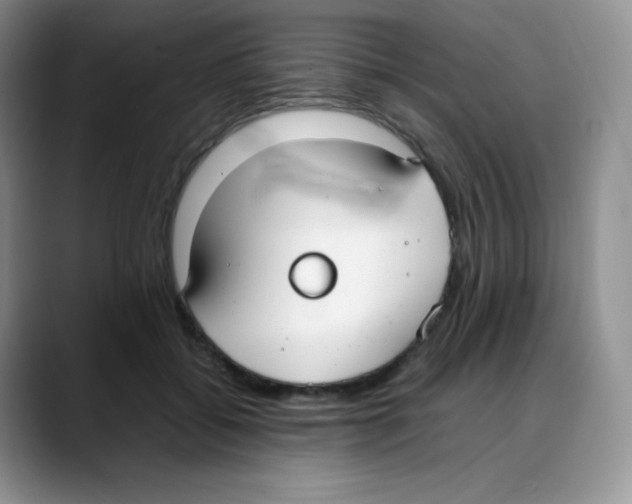 X0000088050556200706081631