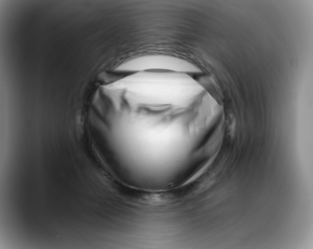 X0000088050558200706081631