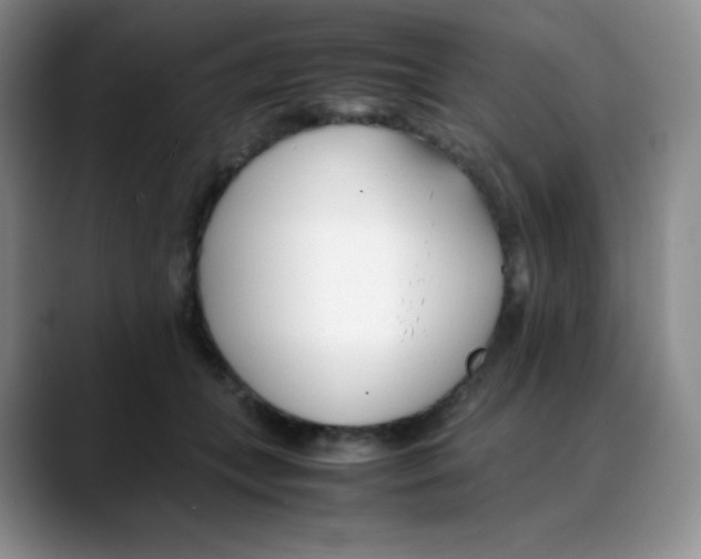 X0000088050559200706081631