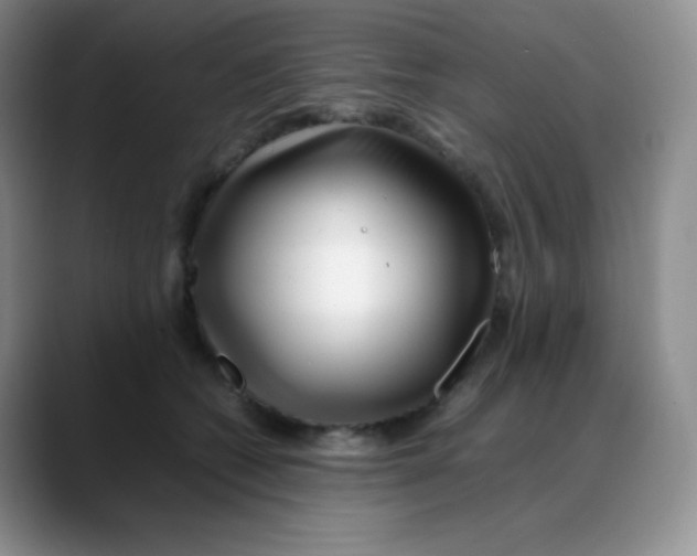 X0000088050562200706081631