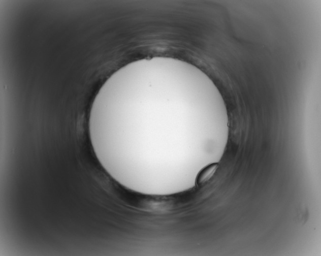 X0000088050563200706081632
