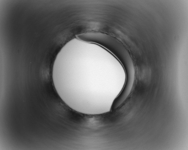 X0000088050564200706081632
