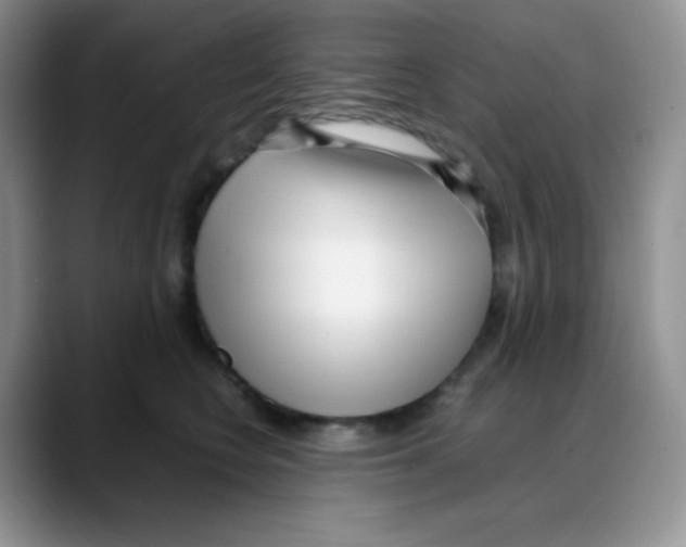 X0000088050566200706081632