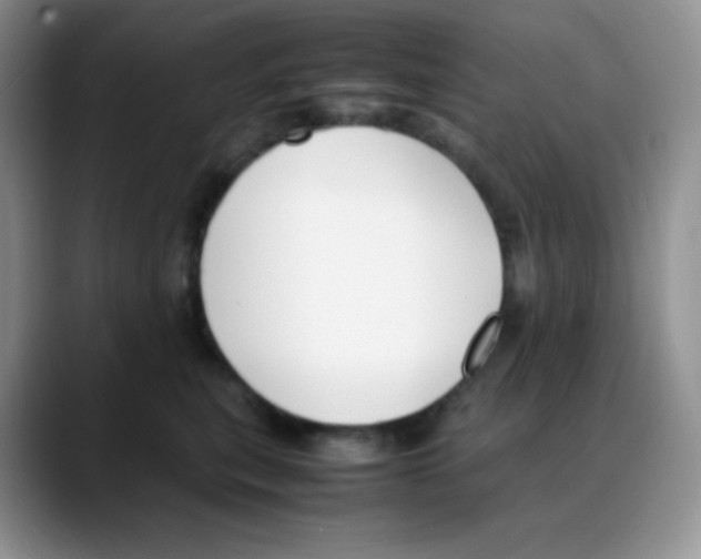 X0000088050567200706081632