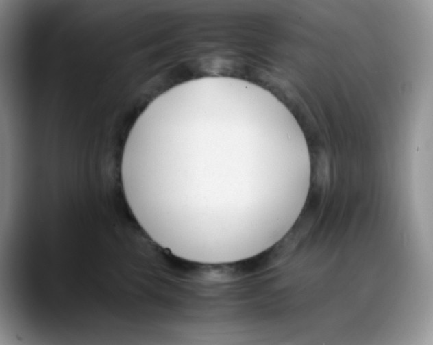 X0000088050569200706081632