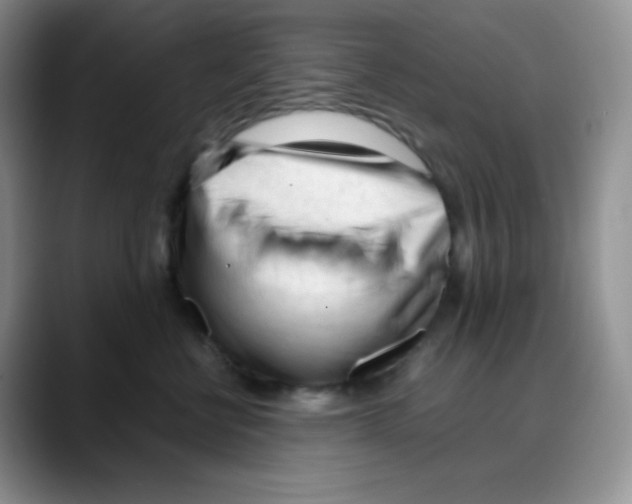 X0000088050570200706081632