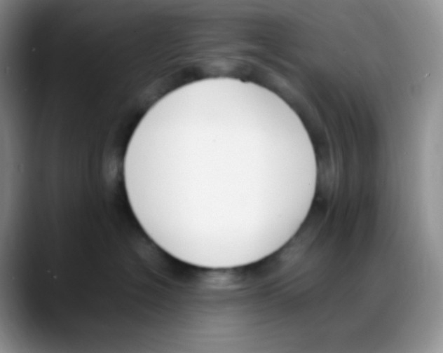 X0000088050574200706081632