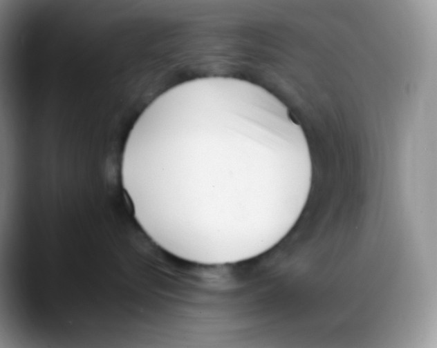 X0000088050576200706081632