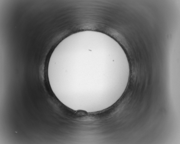X0000088050578200706081631