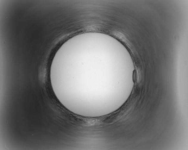 X0000088050579200706081631
