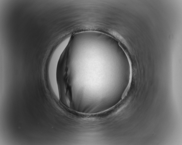 X0000088050581200706081631