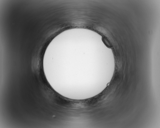X0000088050583200706081631